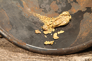 Gold Nuggets Mining Pan