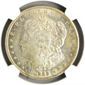 1889 Silver Dollar Value Chart