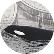 Buyer Beware: The Truth about the Value of 2oz & 10oz Silver Orca Coins
