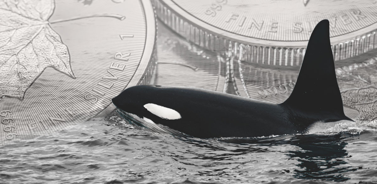 Orca and Silver Coins