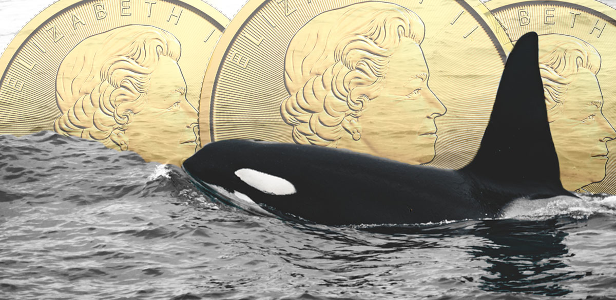 Canadian Orca Gold Coins