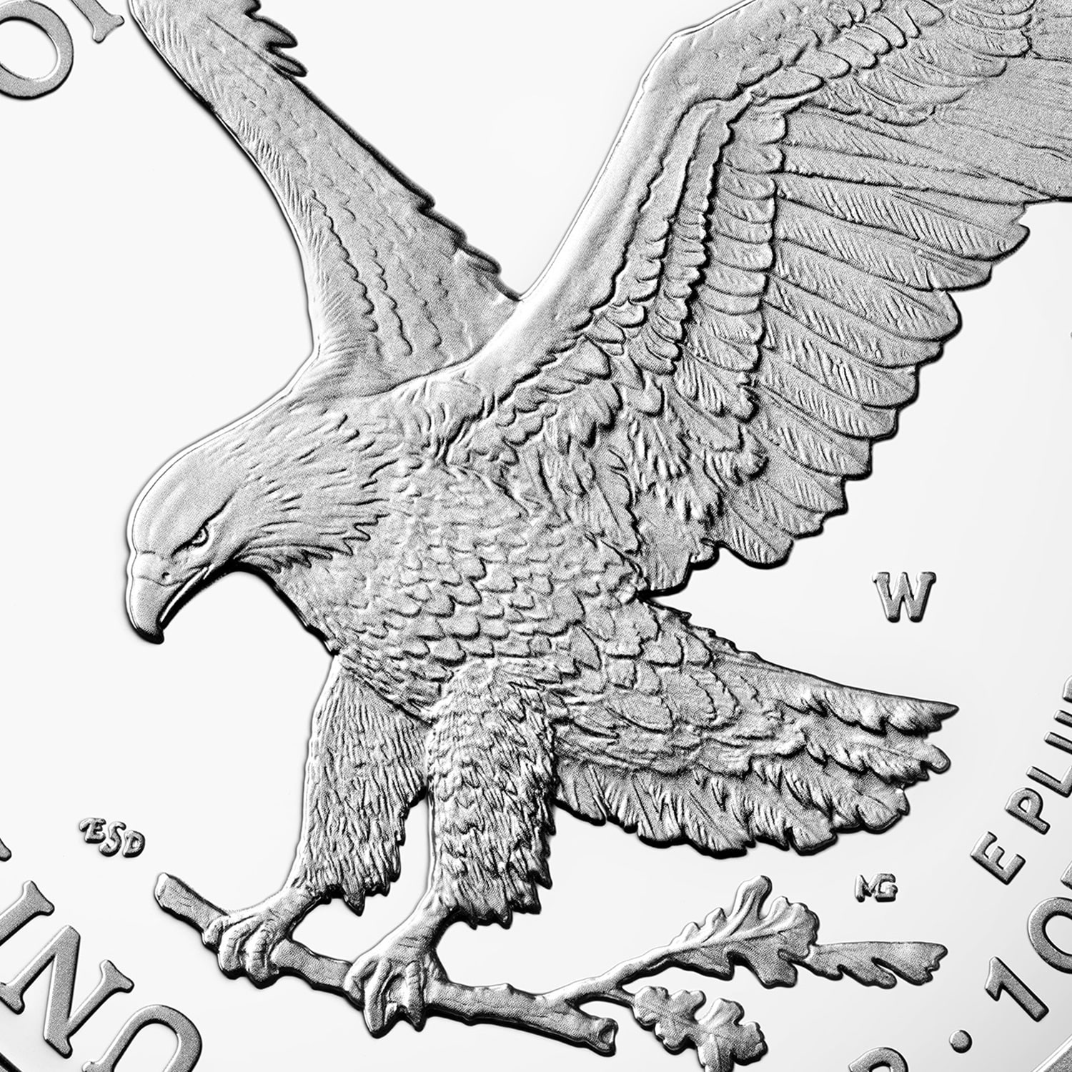 Detailed Image of 2021 American Silver Eagle Coin