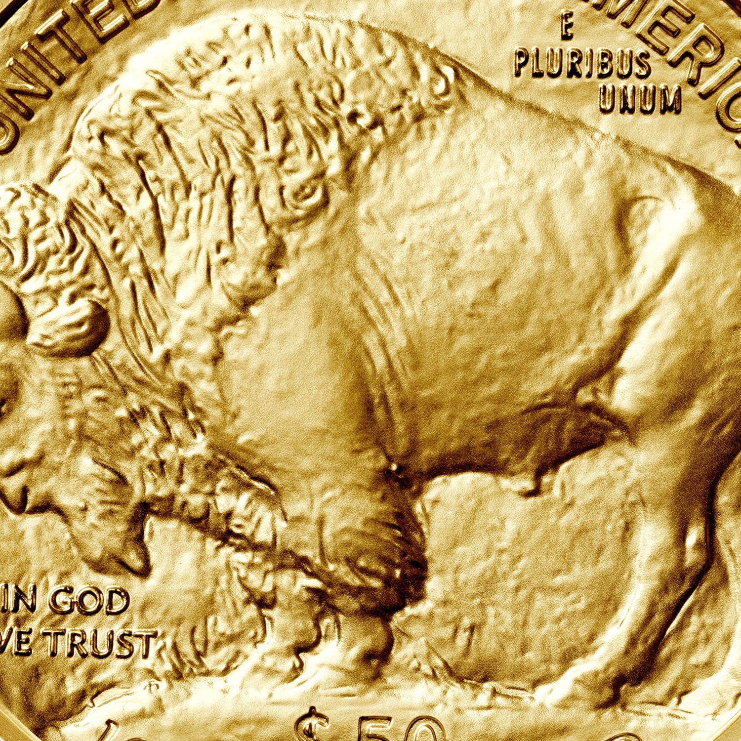 american gold buffalo coin close up details