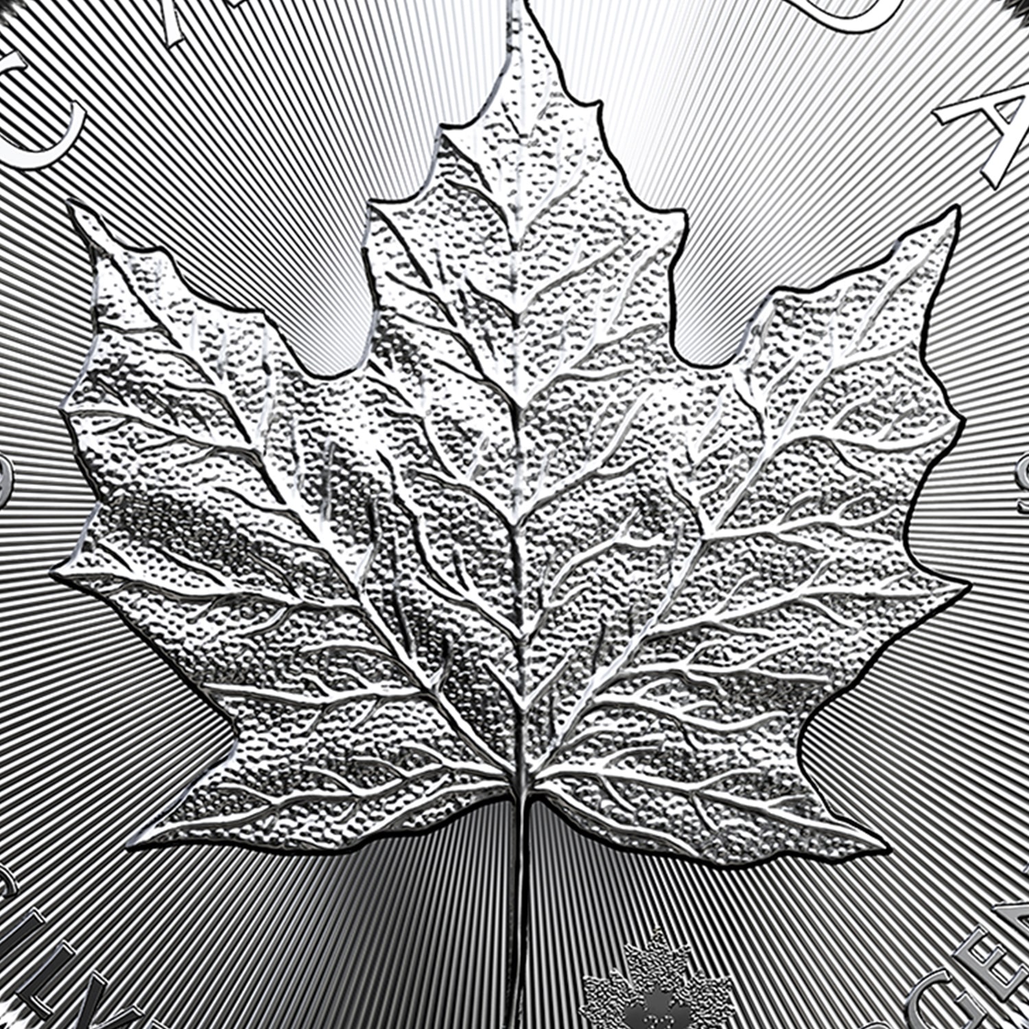 canadian maple silver coin close up