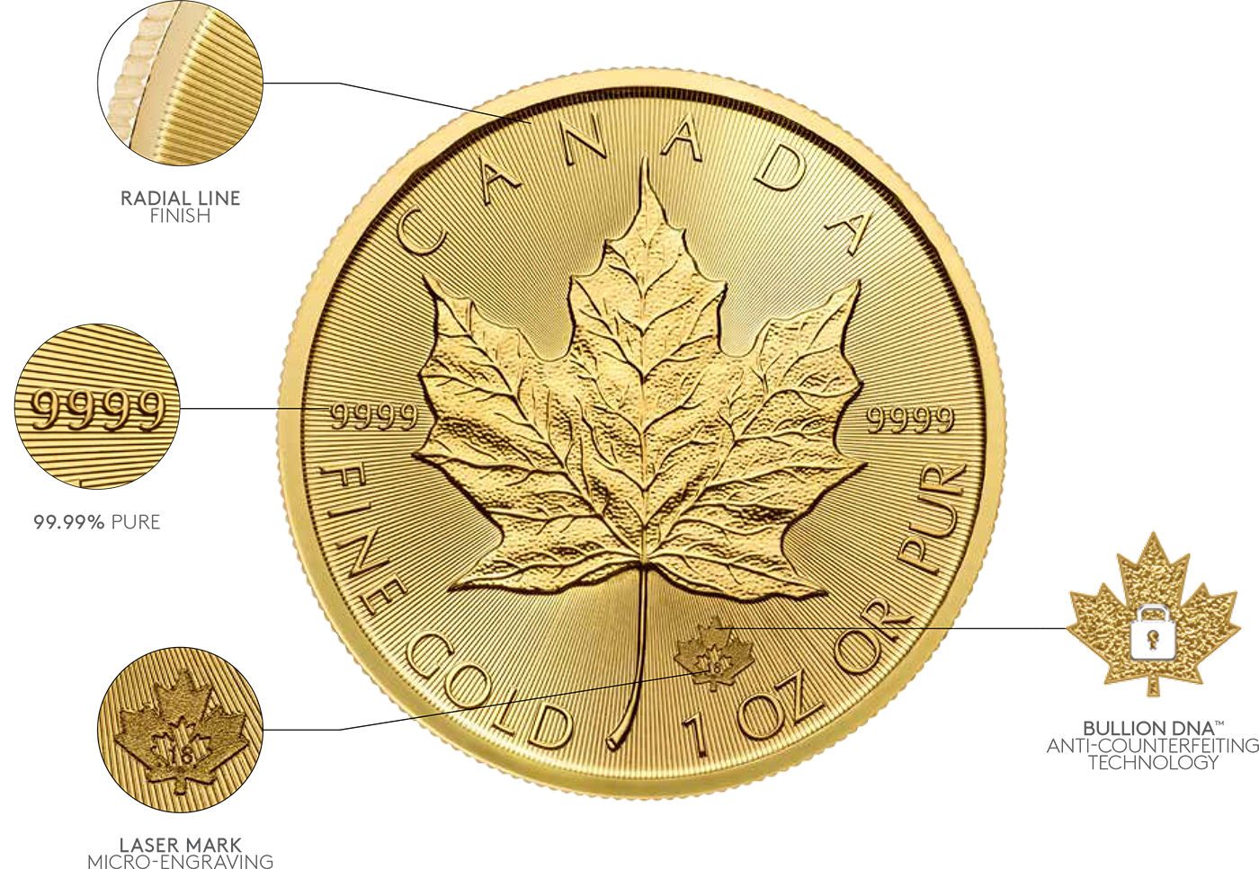 Gold Maple Lead Coin Features