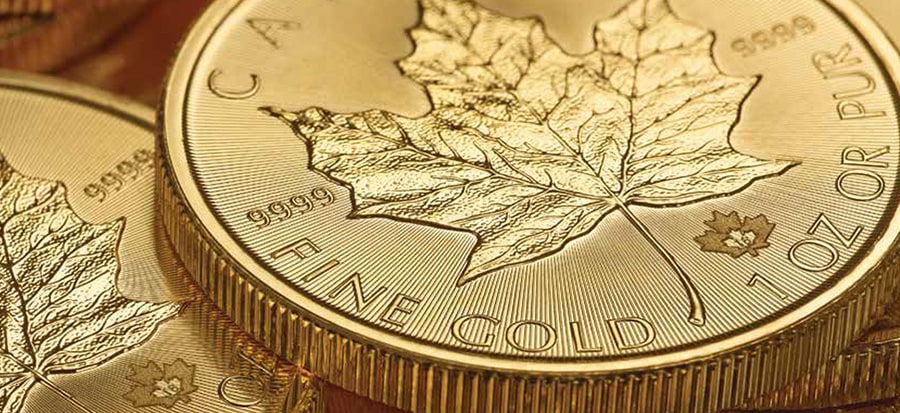 canadian maple gold coins detail