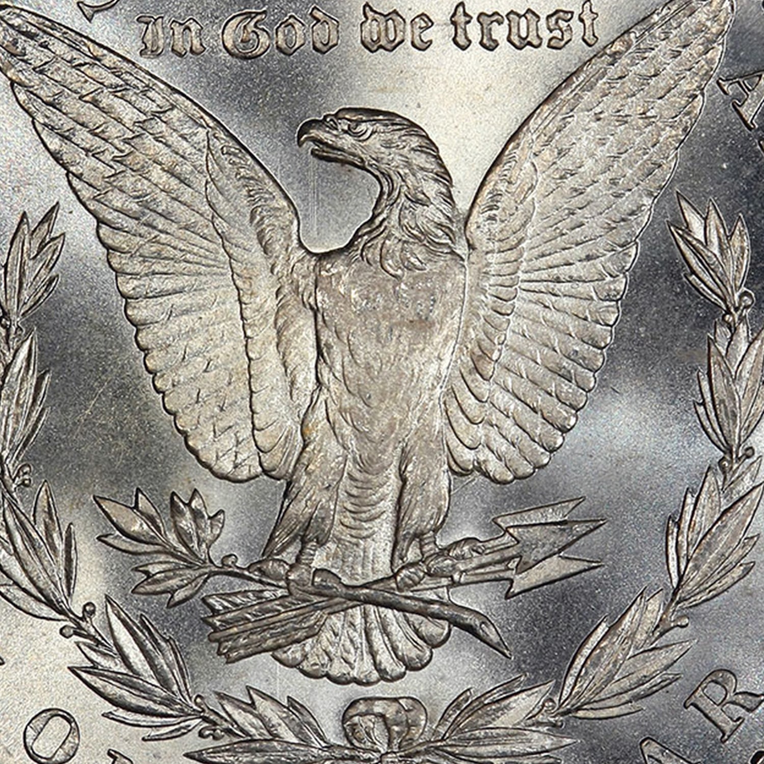 morgan silver dollar coin close up