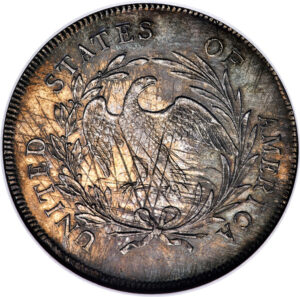 1795 Draped Bust Dollar Reverse Side