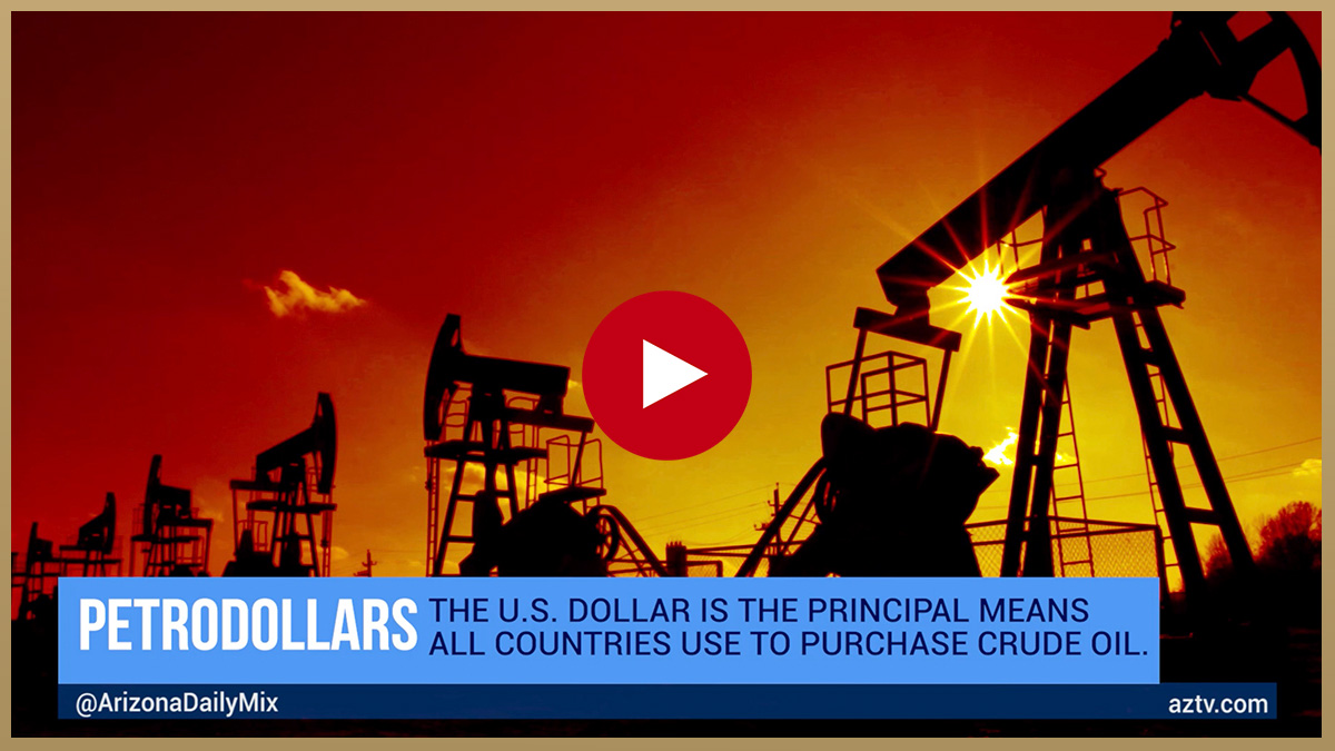 safeguarding wealth petrodollar fall video