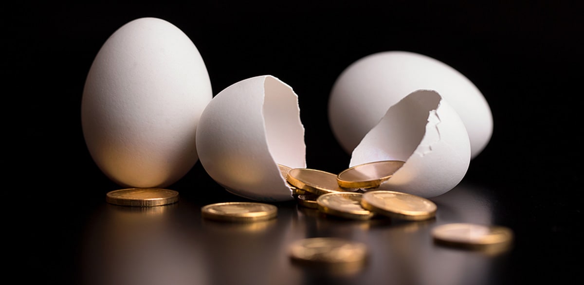 gold coins in nest egg