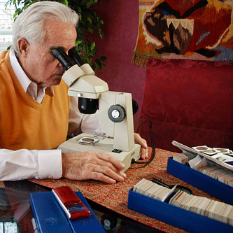 coin collector evaluating a coin collection