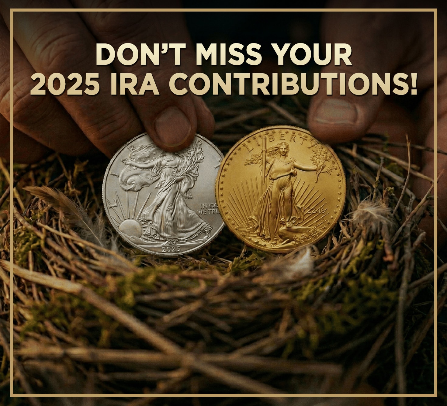 ira contrbution